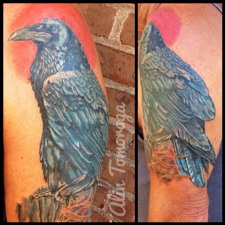 Tattoos - Blue Raven - 95915